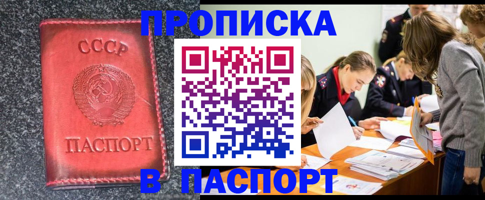 прописка для школы в Шуе